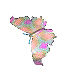 Animated flower.